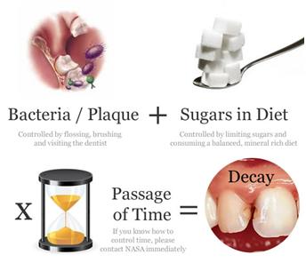 bacteria-sugar
