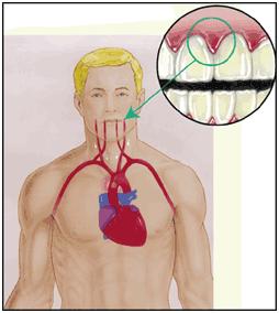 Man Mouth man-mouth