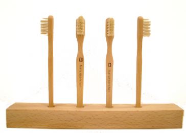 Mitch Marder - November 2014 - Everyday Holistic Dentistry Products You Can Find In Seattle_html_m6d500564
