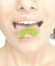 Eating Mint eating mint