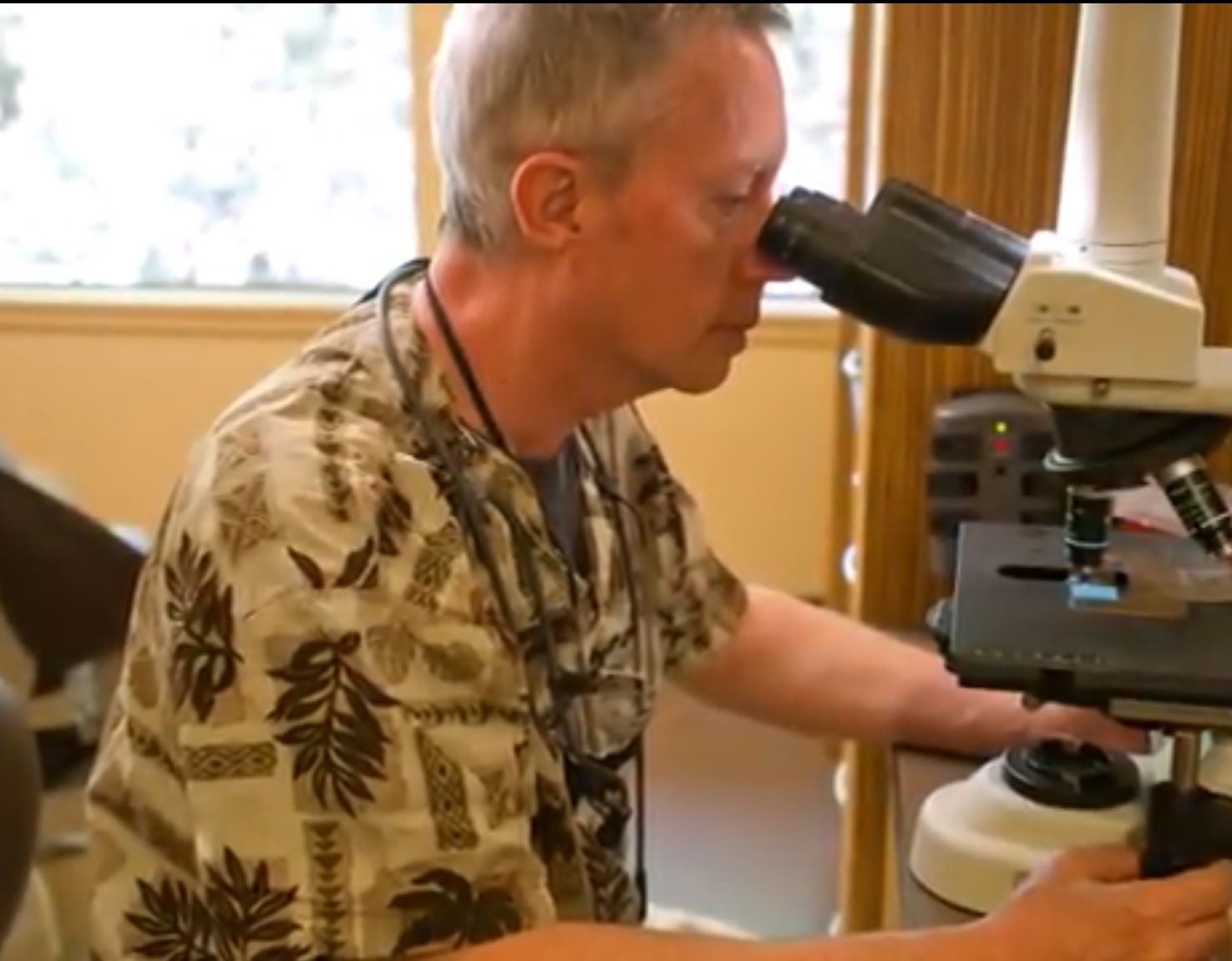 Plaque microscopy